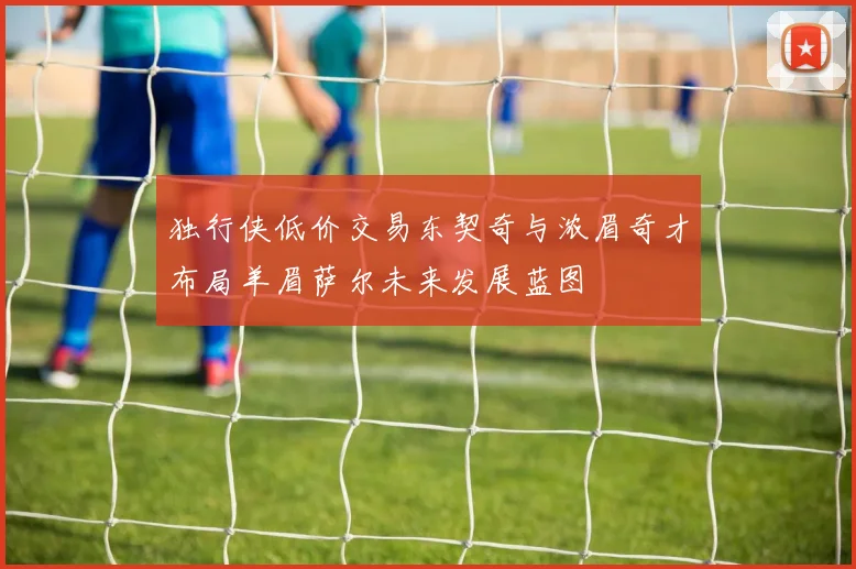 独行侠低价交易东契奇与浓眉奇才布局羊眉萨尔未来发展蓝图