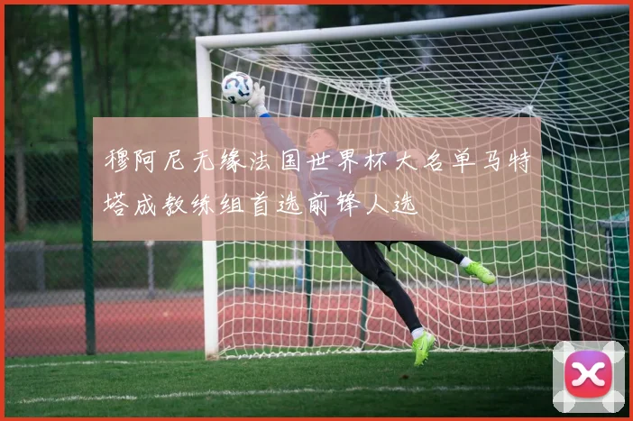 穆阿尼无缘法国世界杯大名单马特塔成教练组首选前锋人选